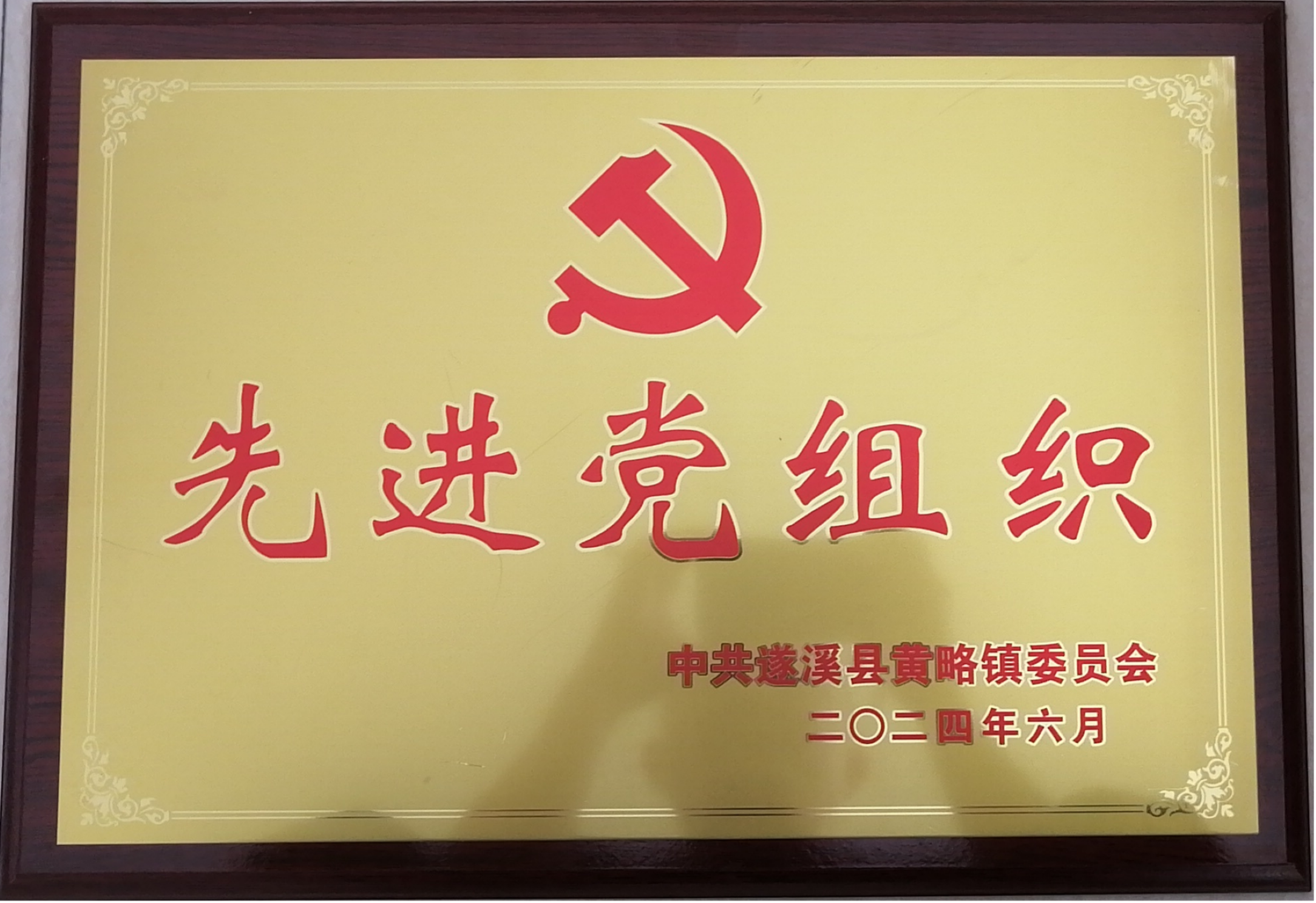 湛江港創公司支委會榮獲“先進黨組織”稱號